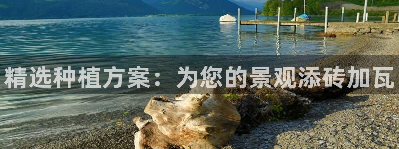 新宝gg什么:精选种植方案:为您的景观添砖加瓦