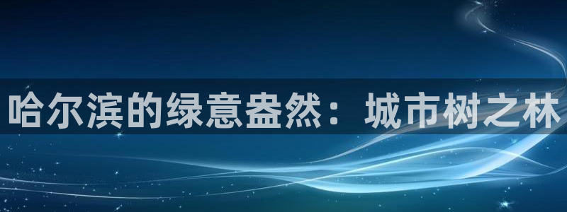 新宝奇迹GG5:哈尔滨的绿意盎然:城市树之林