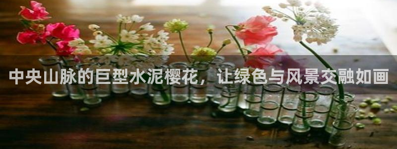 新宝GG冰冰:中央山脉的巨型水泥樱花,让绿色与风景交融如画