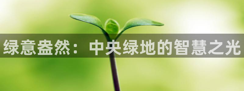新宝gg主:绿意盎然:中央绿地的智慧之光