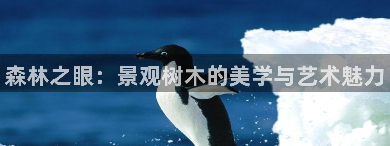 分分新宝gg:森林之眼:景观树木的美学与艺术魅力